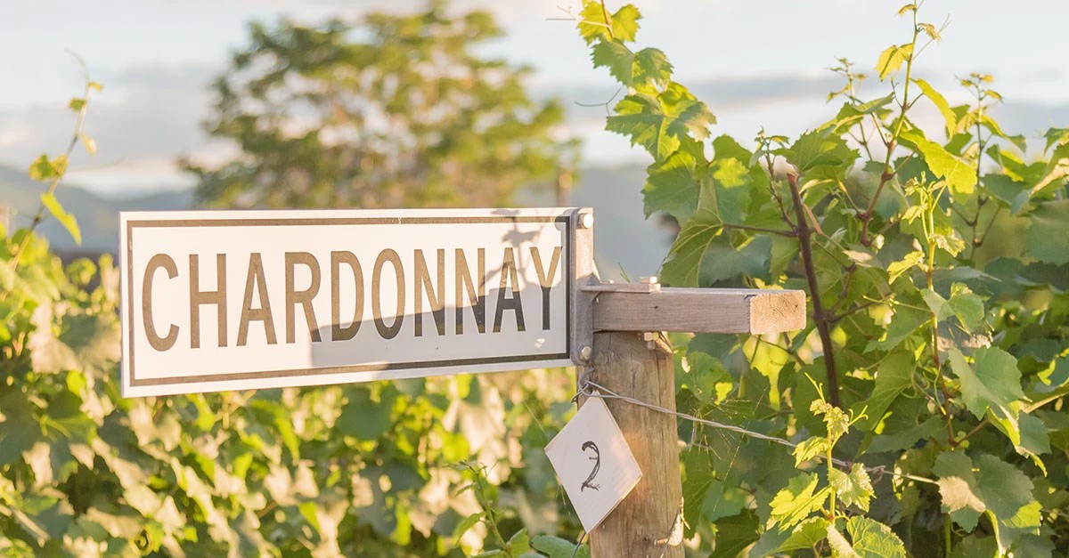 Chardonnay